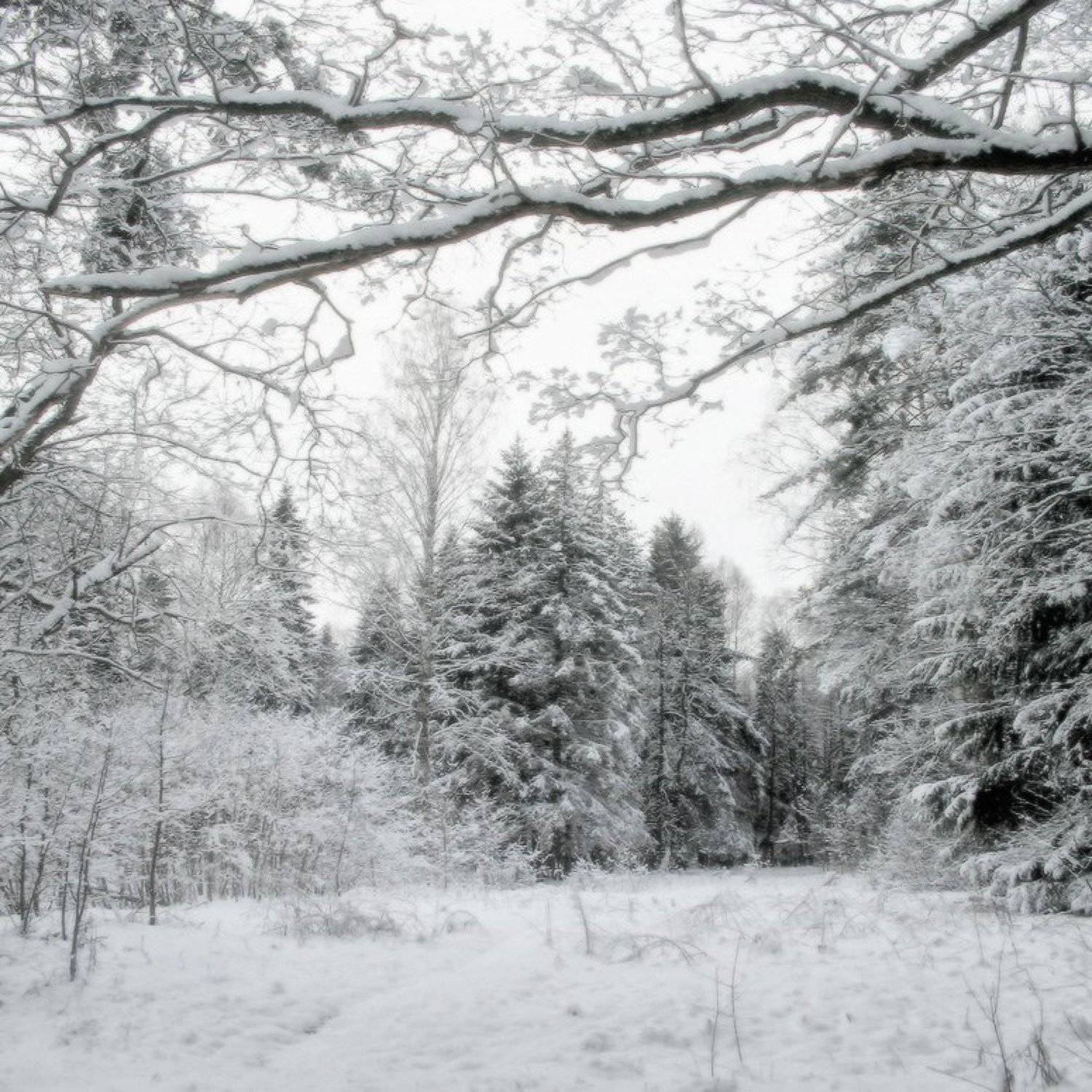 , Viktor Kalechenkov