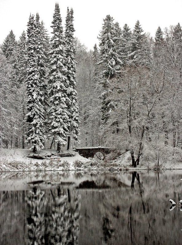 В старом парке. фото превью