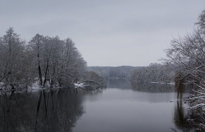 Рось... фото превью