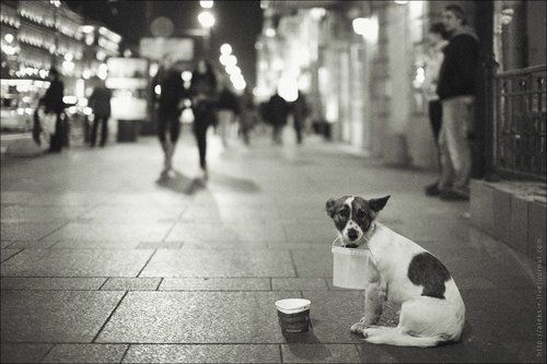 О том.кто рядом...