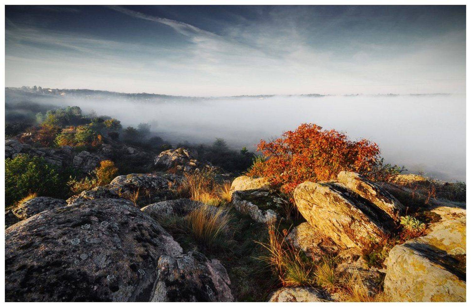 , Денис Кривой