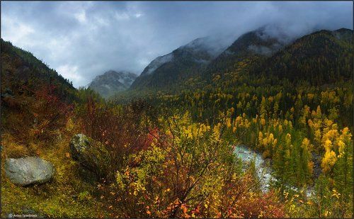 Алтайский гобелен