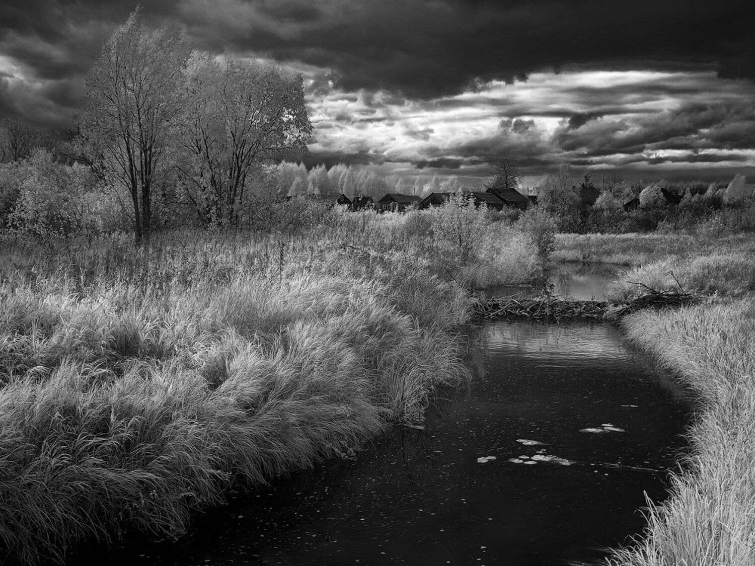 , Максим Евдокимов