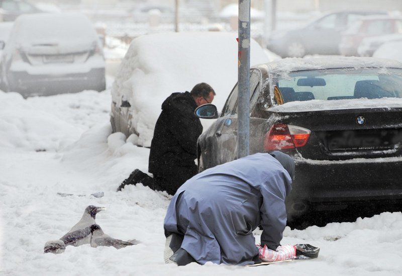 зимой фото превью