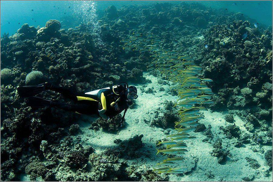 , Владимир Жданов