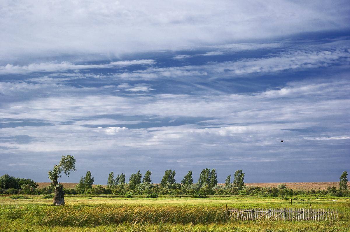 , Александр Буданов