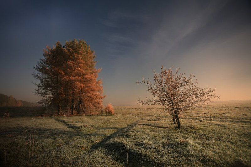 отморозки..тьфу,заморозки..) фото превью