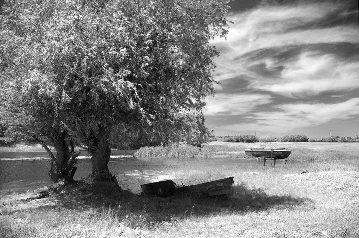 , Александр Буданов