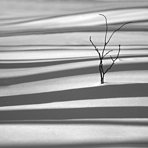 Оптимизм в Квадрате.