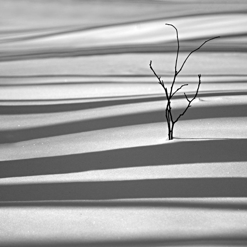 на, белой, полосе Оптимизм в Квадрате. фото превью