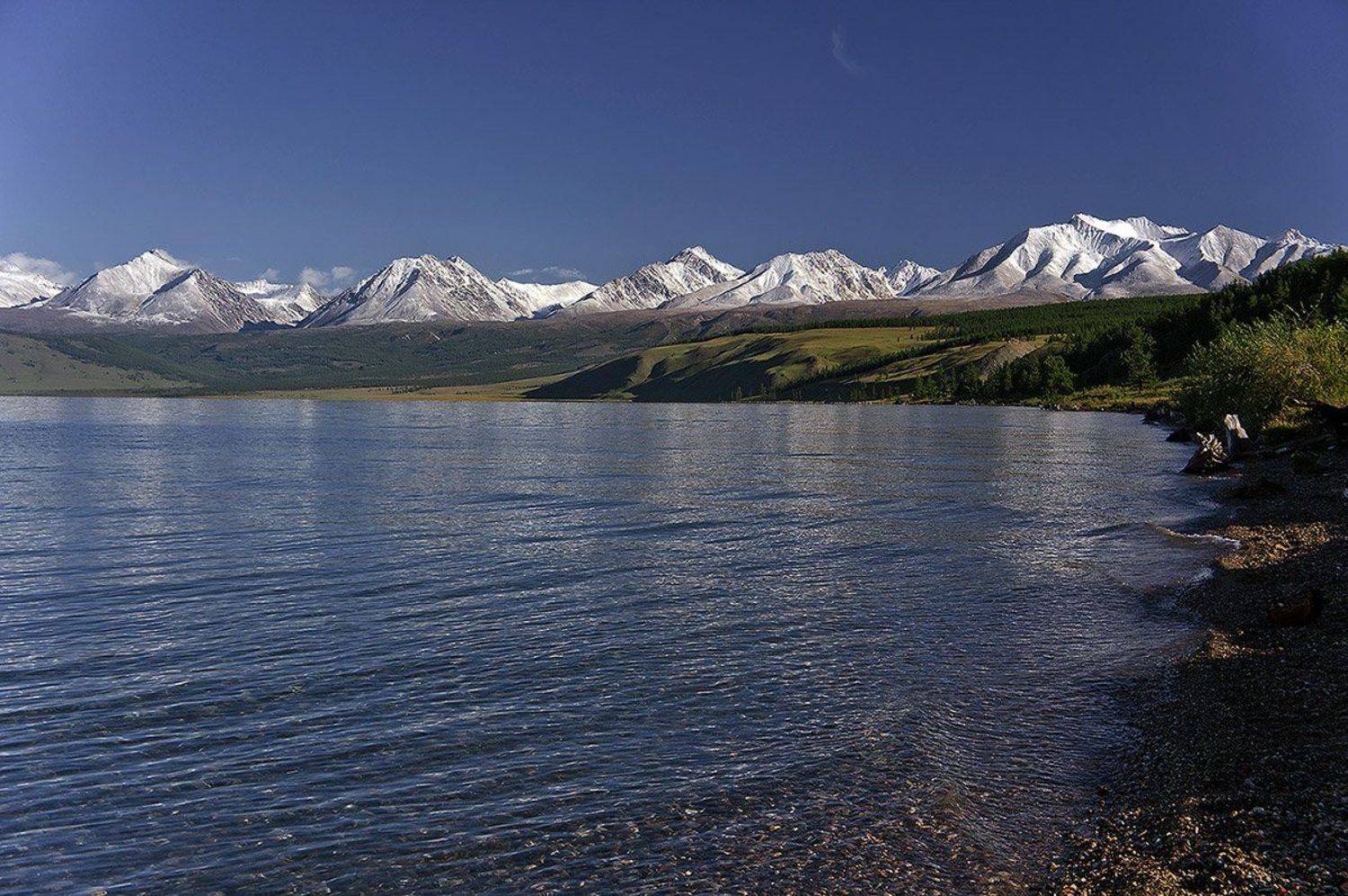 , Игорь Матвеев