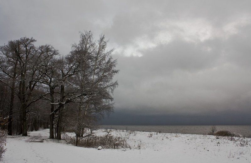первый, снег  фото превью