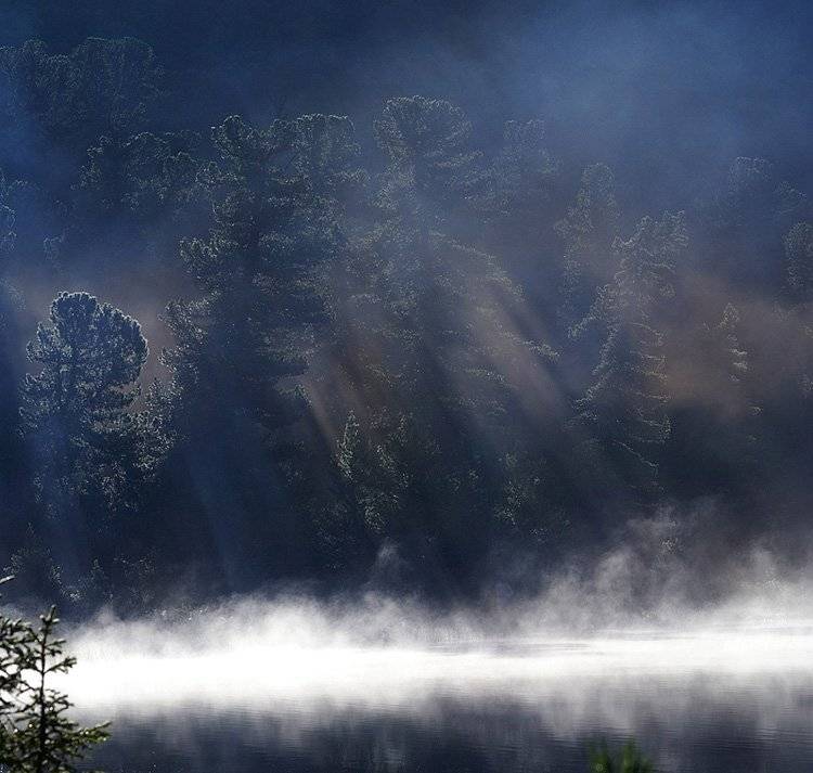 утро, туман, Владимир Письмак