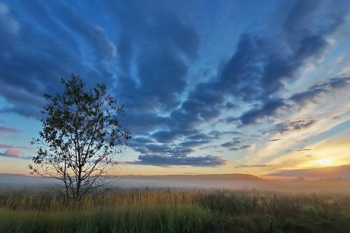 рассвет, Людмила Прокофьева