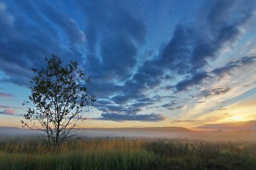Крылья туманного утра