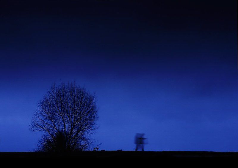 вечерняя мелодия фото превью