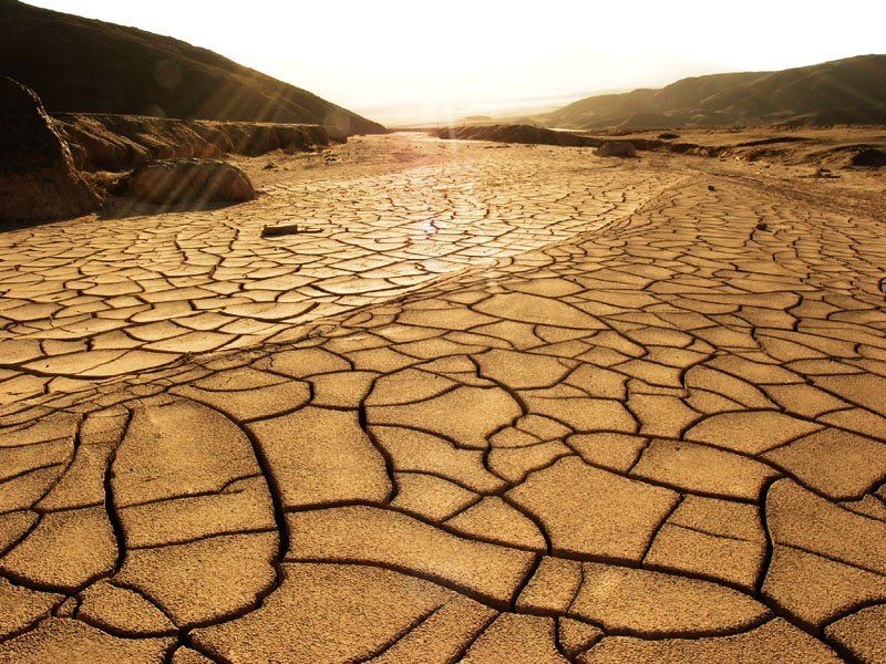 cyxo фото превью