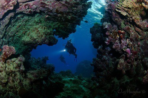 В подводных пещерах