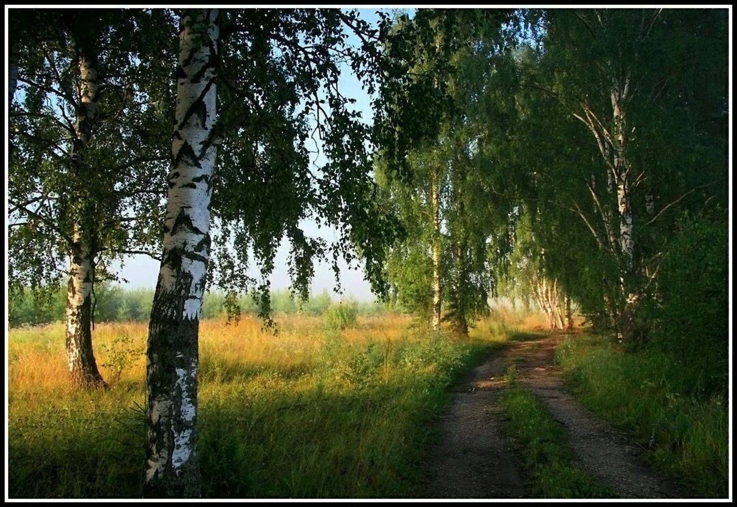 , Василий Черкасский