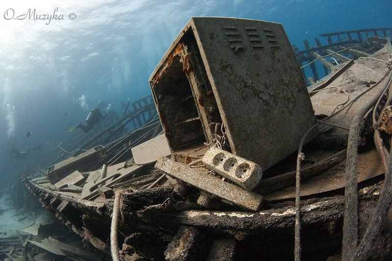 На юге Красного моря фото превью