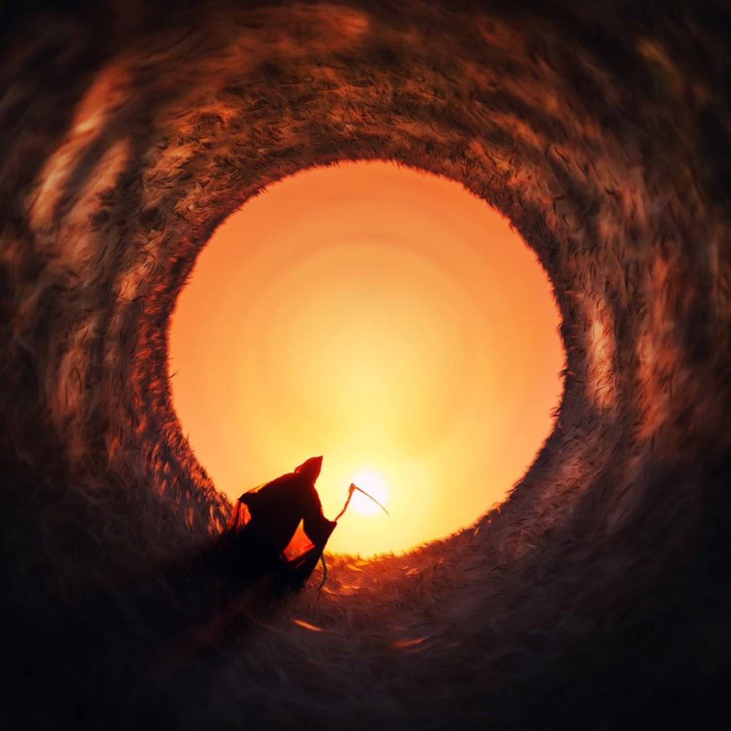 wwwest, Семенов Арсений