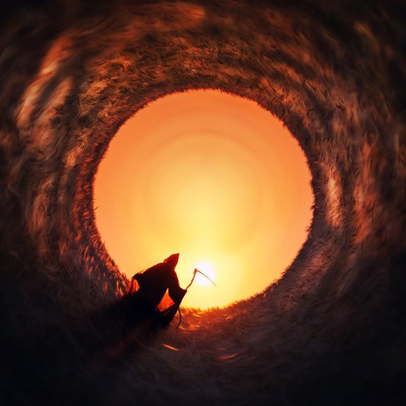 wwwest Отшельник фото превью