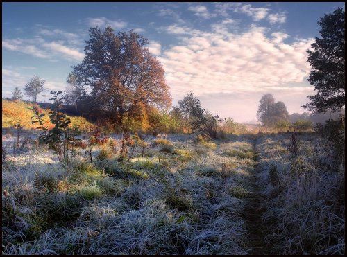 Морозным тихим утром