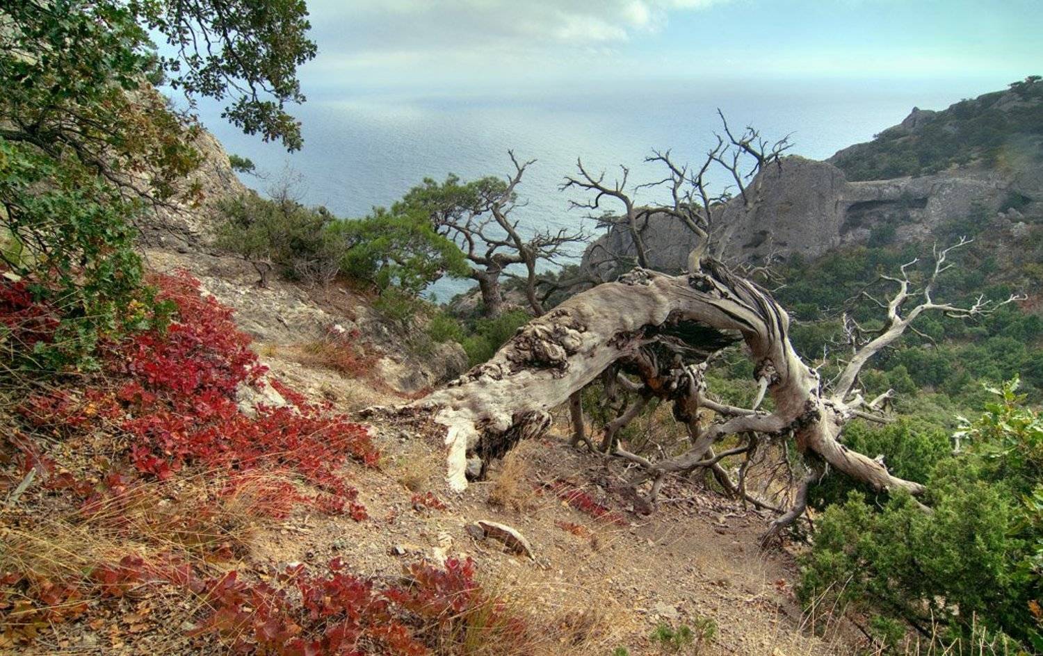 горы, море, осень, , облака, Алексей