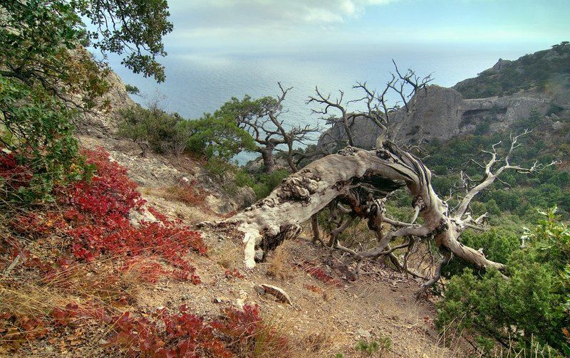 горы, море, осень, , облака Осень в Крыму фото превью