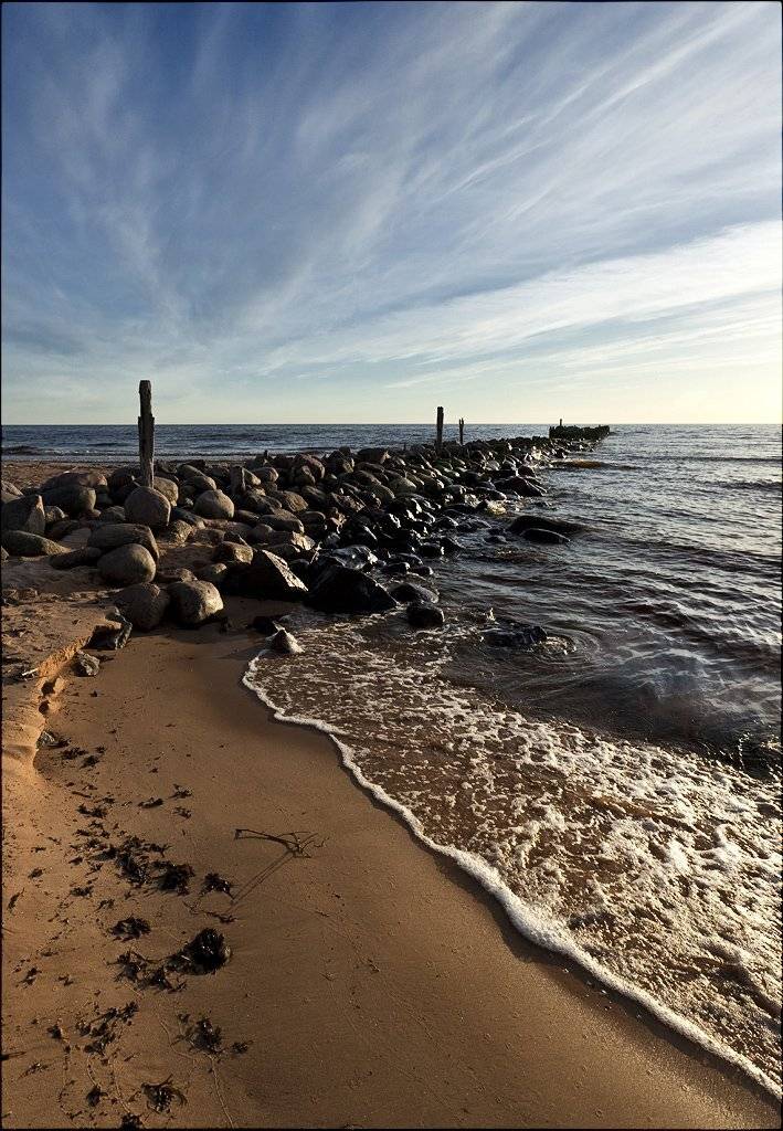 латвия, туя, Лариса Гурьева