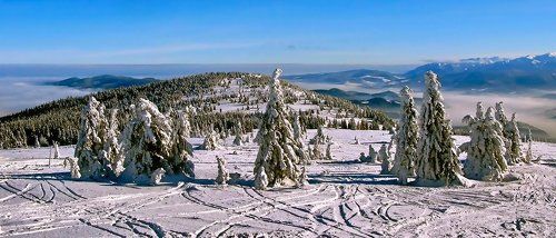 Орава (вариант) (или второй приход на бал зимы)