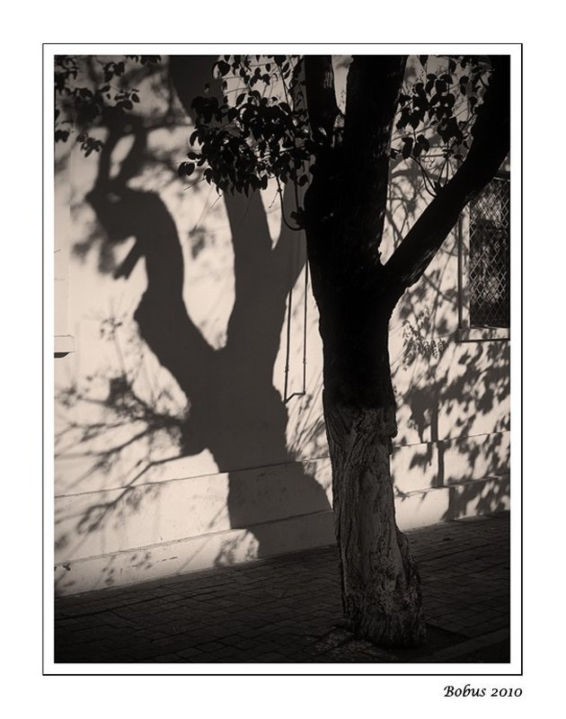 Бакинская осень фото превью