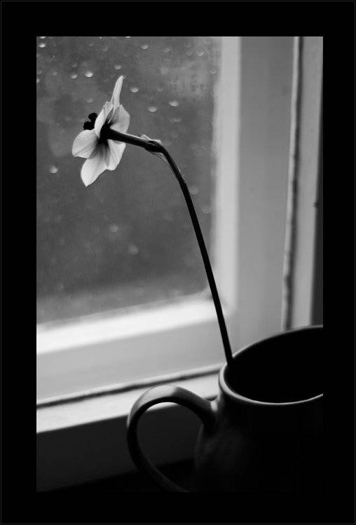 , Александр Гришаев