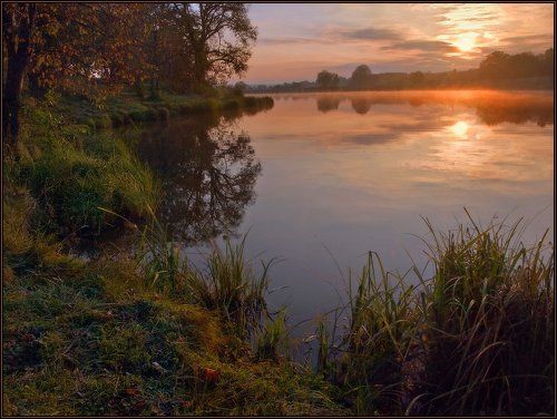 Утро нового дня