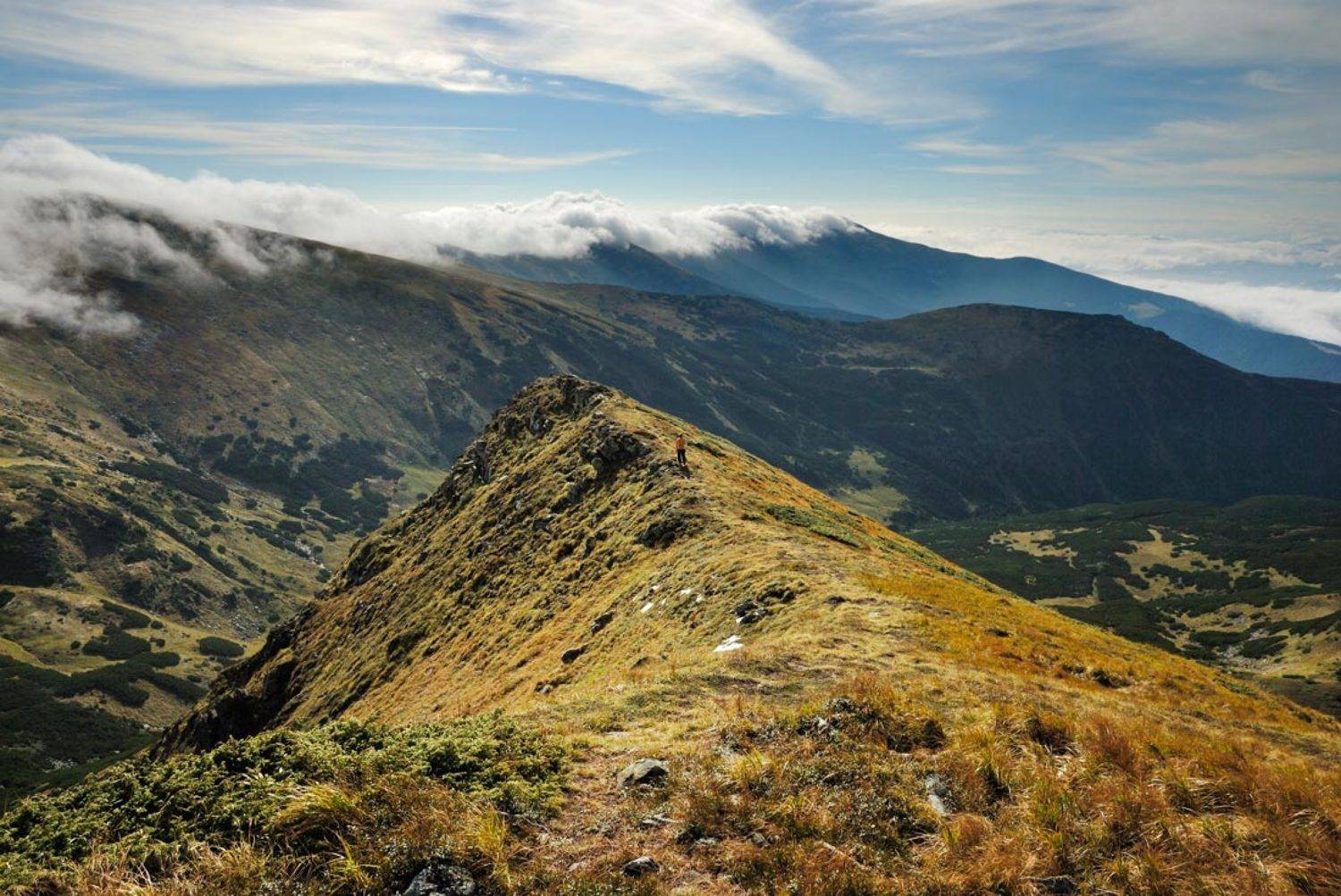 , Павел Лёушкин