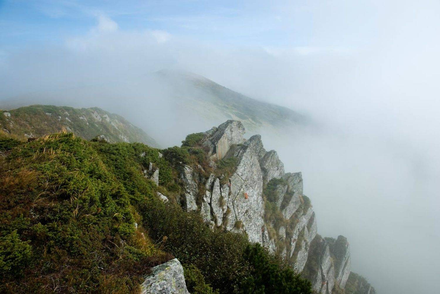 , Павел Лёушкин
