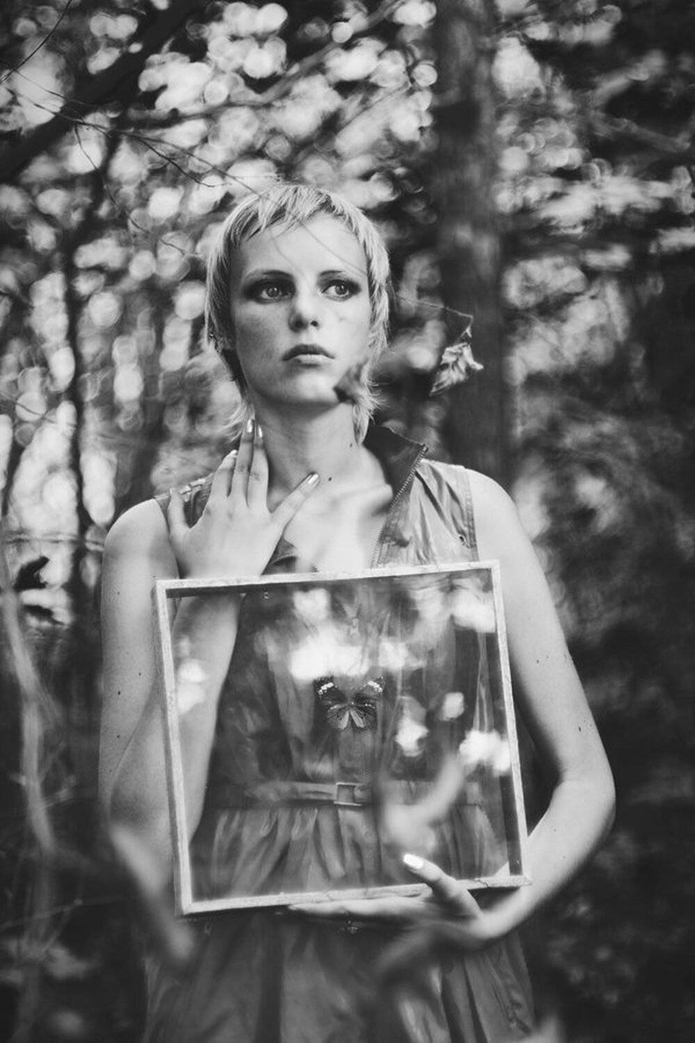 лес , отражение , бабочки , квадрат, Илья