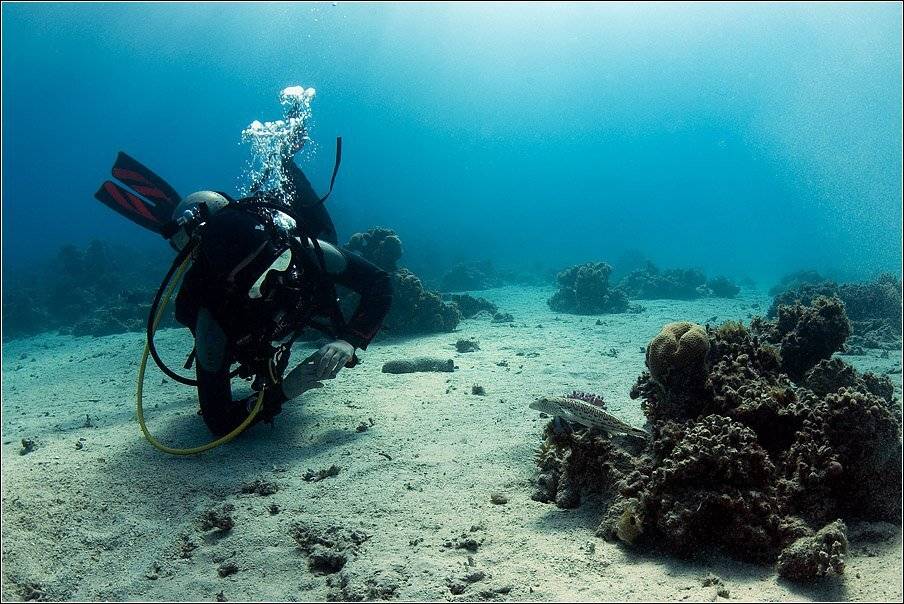 , Владимир Жданов