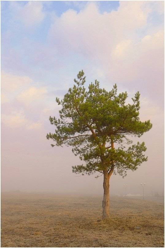 , Евгений strannik521