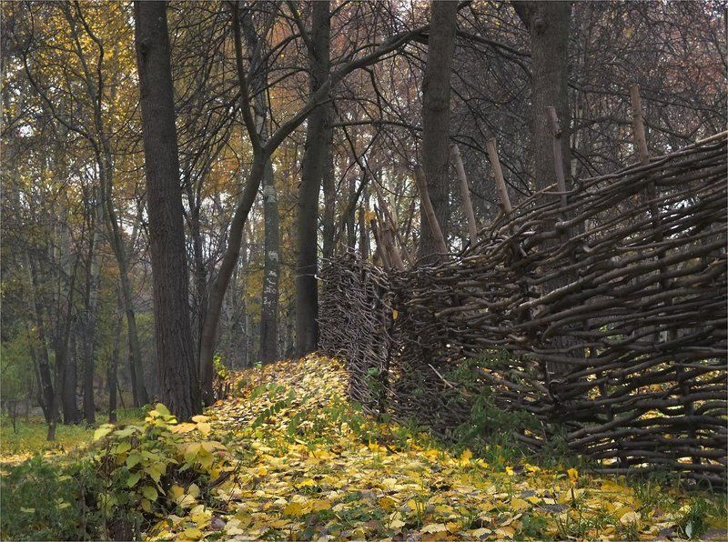 * * * фото превью