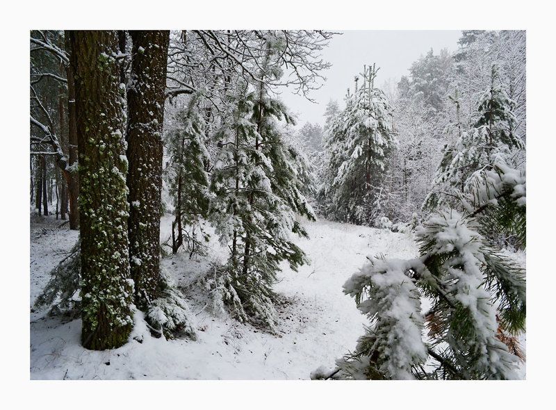 * * * фото превью