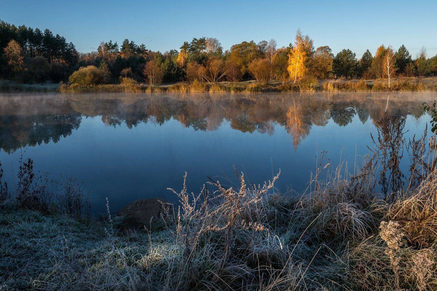 пейзаж,природа,утро,рассвет,осень,березы,туман,озеро,россия,красота,иней, Юлия Лаптева