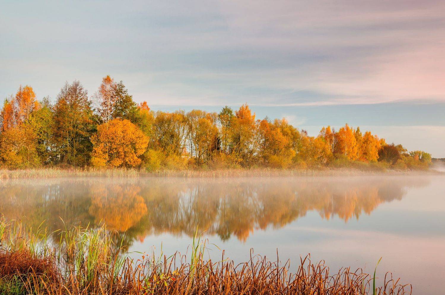 , Руслан Авдевич
