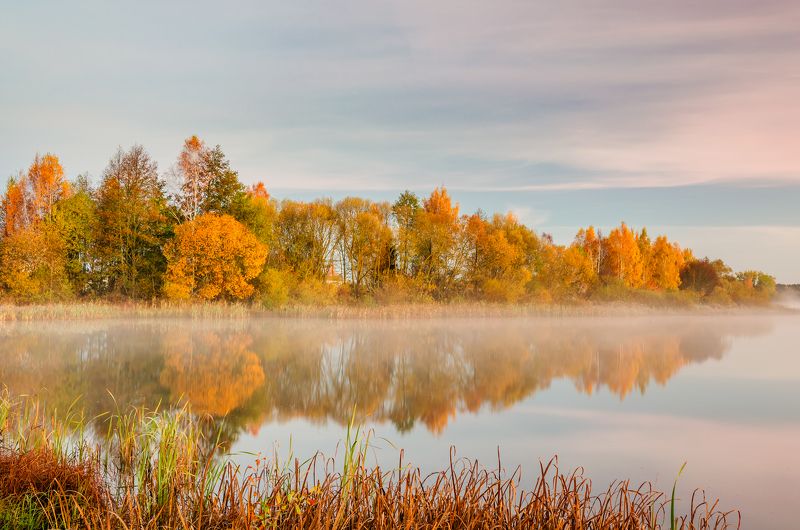 Золотая осень фото превью