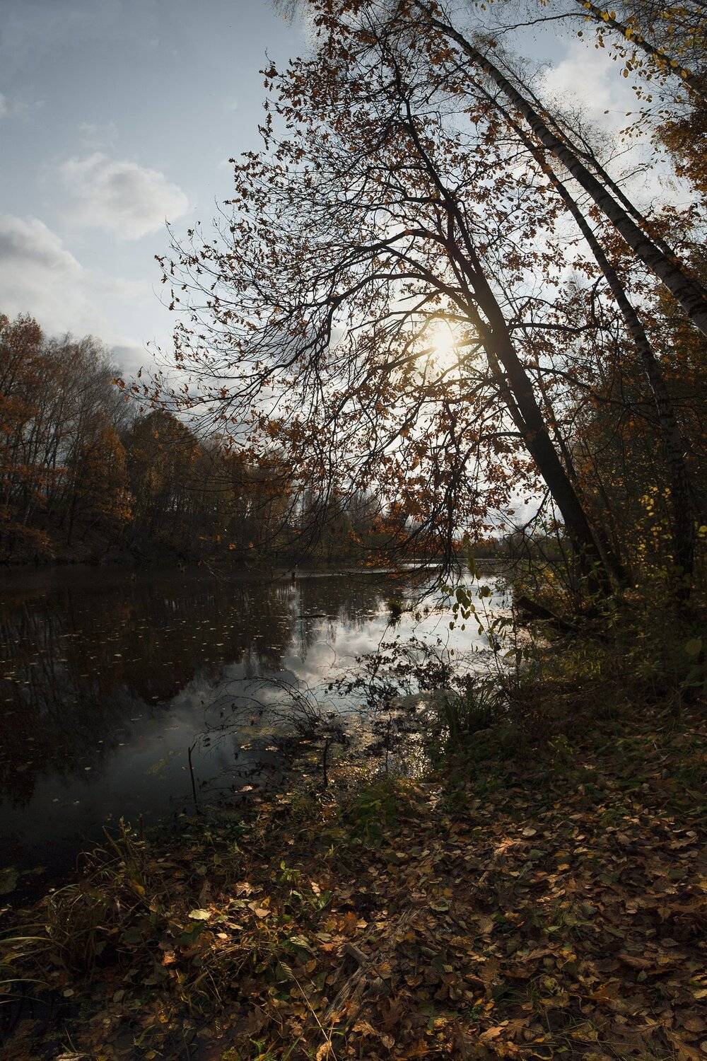 , Виталий Стрельцов