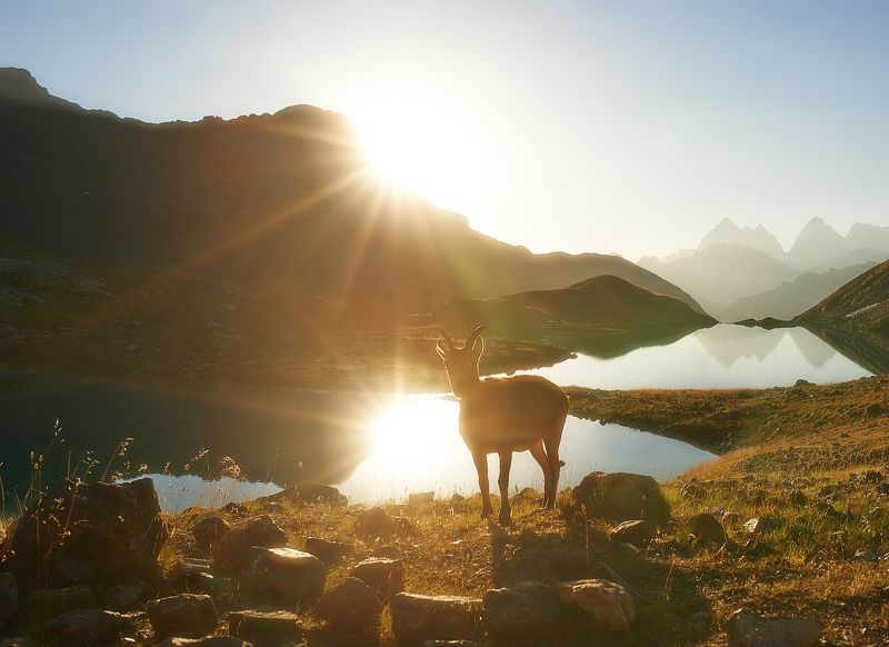 Хозяйка Зеленых озер фото превью