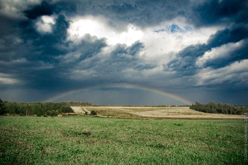 Радуга. Rainbow. 