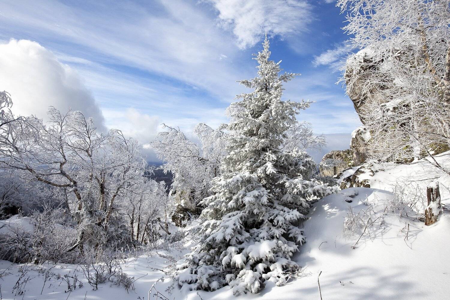 , Сергей Евдокимов