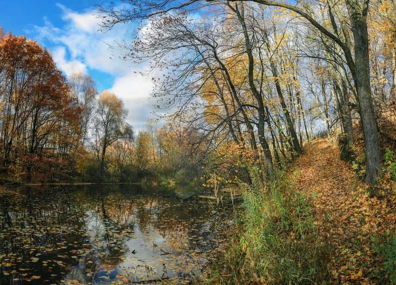 пейзажосеньлистья,пруд Золотая осень. фото превью