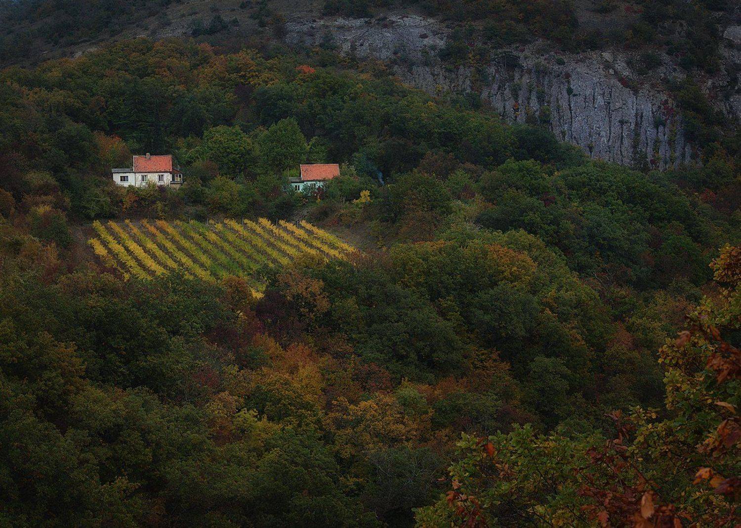 горы, домики, виноградник, Вьюшкин Игорь